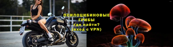 меф Гусь-Хрустальный