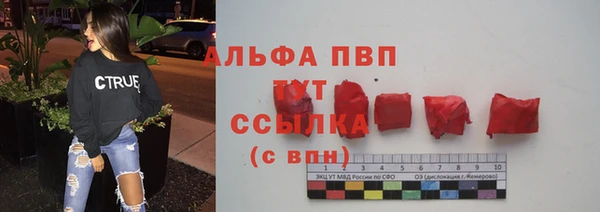 амф Гусиноозёрск