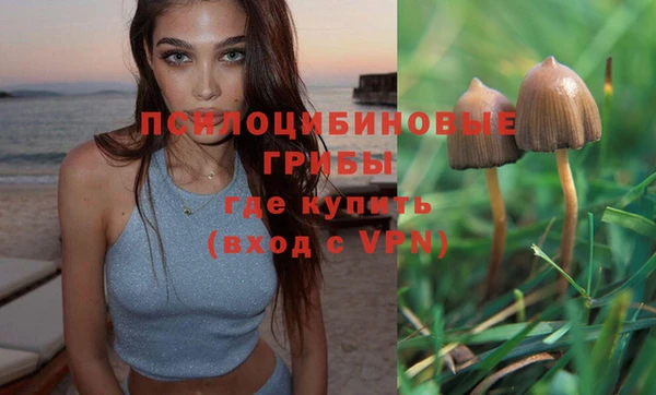 героин Гусев