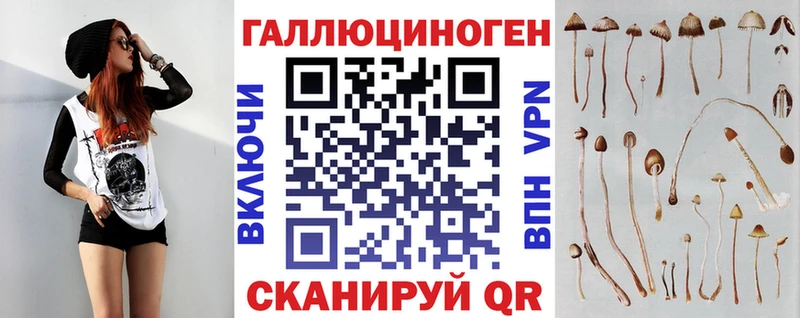 Купить  Торопец  Псилоцибиновые грибы Psilocybine cubensis 